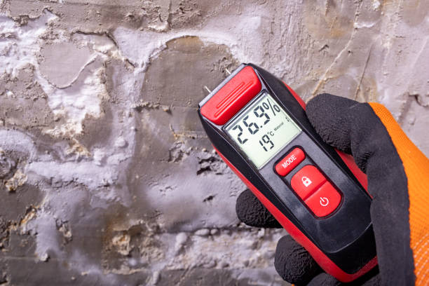 Best Emergency Mold Removal  in Ridge, NY
